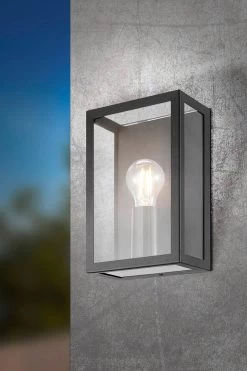 Eglo Alamonte 1 Caged Industrial Outdoor Wall Light