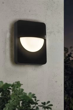 Eglo Salvanesco Black Exterior Wall Light