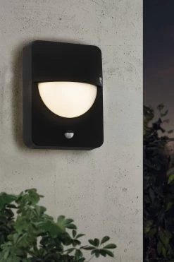 Eglo Salvanesco Black Exterior Wall Light With Sensor