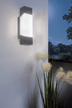 Eglo Gorzano LED Glass Exterior Wall Light