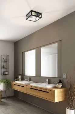 Eglo Amezola 2 Light Caged Ceiling Light