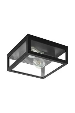 Eglo Amezola 2 Light Caged Ceiling Light -Eglo TC1443s3