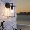 Eglo Valdeo Outdoor Wall Light With Clear Glass Shade -Eglo TN9851s