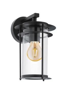 Eglo Valdeo Outdoor Wall Light With Clear Glass Shade -Eglo TN9851s3