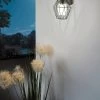 Eglo Canove Caged Outdoor Wall Light -Eglo TR0649s