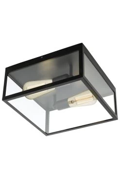 Eglo Charterhouse 2 Light Caged Ceiling Light -Eglo U73361s3