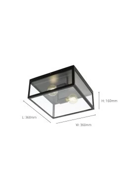 Eglo Charterhouse 2 Light Caged Ceiling Light -Eglo U73361s4