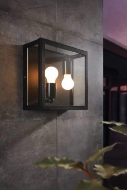 Eglo Alamonte 1 Caged Industrial Exterior Ceiling Light