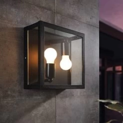 Eglo Alamonte 1 IP44 Outdoor Wall Or Ceiling Light In Black