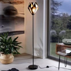 Eglo Carlton 1 Black And Copper Cage Floor Lamp