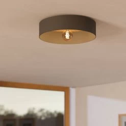 Eglo Duaia Ceiling Light In Grey With Reversible Plate Either Brushed Brass Or Wood Look