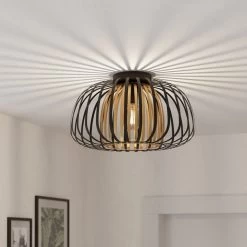 Eglo Encinitos Ceiling Light In Black And Brushed Brass