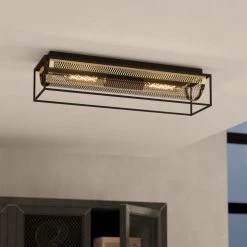 Eglo Nohales Two Lamp Ceiling Light In Black With Metal Mesh Element In Brass